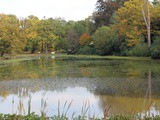 Claremont Landscape Garden