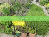 Creating a fragrant herb garden