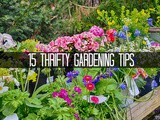 Finance Fridays – 15 Thrifty Gardening Tips