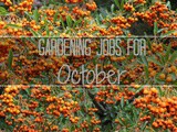 Gardening jobs for October