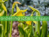 Gardening jobs for spring