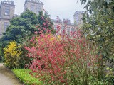 Hardwick Hall Gardens in Spring