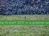 How to start 2017 in a greener way