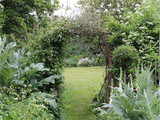 National Gardens Scheme – Little Lodge