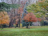 Renishaw Hall Gardens in November