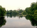 Sunday Snap – The Royal Park