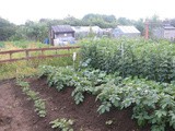 The allotment in June