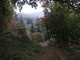 Winkworth Arboretum