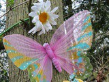 Woodland trail at Polesden Lacey