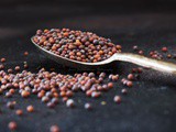Mustard seeds – Benefits and Translation in different regional languages