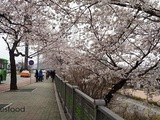 Springtime in Seoul