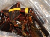 Recipe 22 lobstah