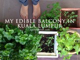 My Edible Balcony in Kuala Lumpur