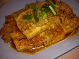 Ezcr#96 - braised tofu with spring onions