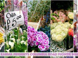Exploring London's Columbia Road Flower Market