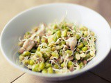 5 Reasons why you should have Sprouts