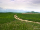 A countryside Escapade - Tuscany and Umbria