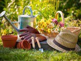 10 Gardening Suggestions