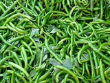 How to store green chillies in refrigerator