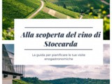 Alla scoperta del vino di Stoccarda
