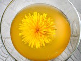Homemade Dandelion Liqueur Recipe