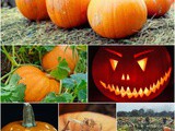 Using Pumpkins