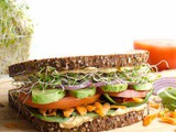 The Ultimate Hummus and Veggie Sandwich