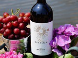Bell’Aja Bolgheri Superior 2022 Review: Exploring San Felice