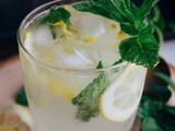 Botanical Gin Lemonade