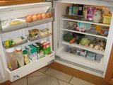 Environmentally friendly fridge freezers – Choose the Right One