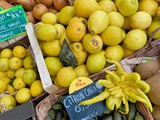 Lemons & Limes (Citrons/Citrons vert)