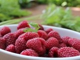 Food Photography & Nutrition : Raspberry