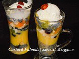 Custard Falooda Recipe | How to make Fruit Falooda – Summer Dessert