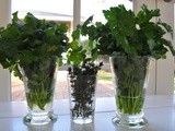 Marin Mama's tip for keeping herbs fresh