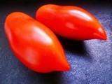 San marzano tomatoes (or elvish shoes!)