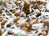 Making sprouts/how to make horse gram sprouts-marudhuskitchen