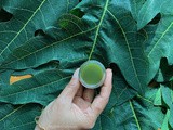 How to make Papaya Leaf Juice | Papaya Leaf Extract |Papita Ke Patte Ka Juice Recipe | Papali Ellai Saaru | Healing Recipe