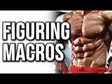 Bodybuilding macro basics & what are macros