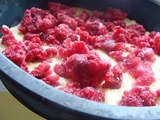 Prajitura cu zmeura si iaurt - Raspberry and yogurt coffee cake
