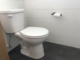Gerber Toilet Reviews