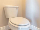 The Best Elongated Toilets