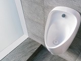 The Best Urinal for Home