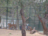 Visit to Bannerghatta Biological Park, Bangalore