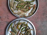 Sundige menasu/balakada menasina kayi/sun dried chillies