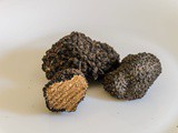 La truffe : découverte d’un trésor gastronomique et secrets de culture