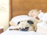 5-те най-добри научно доказани съвета за по-добър сън