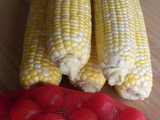 The Adventures of Corn