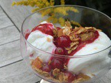 To Celebrate Summer, a Home-Made Frozen Yoghurt Fiesta