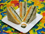 Healthy & Appetizing Tricolor Sandwich