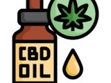 ~How cbd Can Support Your Pet’s Health